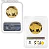 1 oz $50 Proof Gold American Buffalo NGC/PCGS PF 69 (Random Year)
