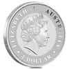 Monster Box of 250 - 1 oz Australian Silver Kangaroo Perth Mint BU (Random Year)