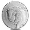 1 oz Buffalo Warrior Silver Round .999 Fine