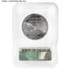 1 oz Platinum American Eagle ICG MS 69 (Random Year)