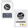 1 oz Proof Platinum American Eagle $100 Coin NGC / PCGS PF 69 (Random Year)