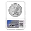 2027 1 oz Silver American Eagle NGC MS 69 ER