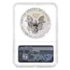 2006 P 1 oz Reverse Proof Silver American Eagle NGC PF 70 - 20th Anniversary