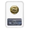 2009 1 oz $20 Ultra High Relief Saint-Gaudens Gold Double Eagle NGC MS 70 (Flag Label)