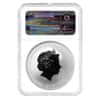 2013 1 oz Silver Lunar Year of The Snake Australian Perth Mint NGC MS 70