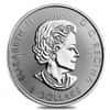 Roll of 15 - 2016 1.5 oz Canadian Silver White Falcon $8 Coin .9999 Fine BU (Lot, Tube of 15)