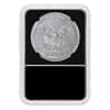 2016 W 1 oz Burnished Silver American Eagle NGC MS 70 - 30th Ann. (Liberty Holder)