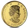 2019 1/4 oz Gold Canadian Wild Horse Reverse Proof Coin .9999 Fine (Sealed)
