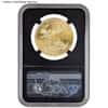2020 1 oz Gold American Eagle NGC MS 70