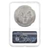 2020 1 oz Silver American Eagle NGC MS 70