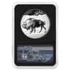 2021 2 oz Silver Lost Buffalo Ultra High Relief NGC Rev PF 70 FDOI
