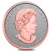 2021 Canada 1 oz Tribute to the Maple Tree Platinum Coin .9995 Fine (w/Box & COA)