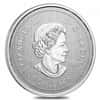2021 Canada 7.96 gram Silver The Snowbirds - Moments to Hold Coin .9999 Fine