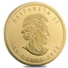 2022 25 x 1 gram Canadian Gold Maples $.5 Coin .9999 Fine - Maplegram25™ (In Assay)
