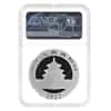 2022 30 gram Chinese Silver Panda 10 Yuan NGC MS 70