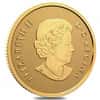 2022 Canada 1/20 oz Gold Everlasting Maple Coin .9999 Fine (w/Box & COA)