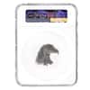 2022 Chad 1 oz Silver American Eagle Coin Serial #5 NGC MS 70 ER Shaped High Relief