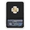 2023 1/10 oz Gold American Eagle NGC MS 70 FDOI