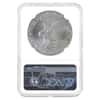 2023 1 oz Silver American Eagle NGC MS 70 FDOI (Castle)
