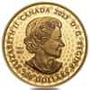 2023 Canada 1 oz Gold Grizzly Bear Great Hunters High Relief Coin