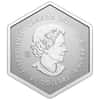 2023 Canada 1 oz Silver Snowflake Crystal Coin