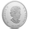 2023 Canada 3 oz Colorized Silver Canadian Collage Coin