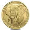 2023 South Africa 1 oz Big Five Elephant Gold Coin .9999 Fine BU