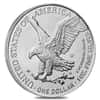 2023-W 1 oz Burnished Silver American Eagle $1 Coin