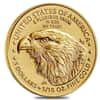 Roll of 50 - 2024 1/10 oz Gold American Eagle $5 Coin BU