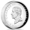 2024 1 oz Proof Colorized Silver Australian Kangaroo Perth Mint