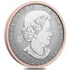 2024 Canada 1 oz Platinum Maple Leaf Forever Coin