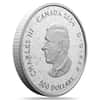 2024 Canada 5 Kilo Heraldic Landscape - Birds of Canada Silver Coin