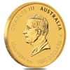 2025 10 oz Gold Lunar Snake BU Australian Perth Mint