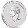 2025 1 oz Gilded Silver Lunar Snake Australian Perth Mint