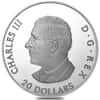 2025 Canada 1 oz Moon Sky - Raven Silver Coin .9999 Fine
