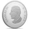 2025 Canada 1 oz Silver Lunar Year of The Snake Coin
