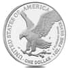 2025-P Marine Corps Privy 1 oz Proof Silver American Eagle PCGS PF 69 FS