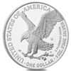 2025-W 1 oz Proof Silver American Eagle (w/Box & COA)