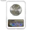 1982 1 oz Silver Mexican Libertad NGC MS 65*