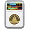 1991 1 oz China Gold Panda 100 Yuan NGC UNC Details