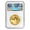 2017 1 oz Gold American Buffalo NGC MS 69 Early Releases (Blue Label)