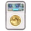 2017 1 oz Gold American Buffalo NGC MS 69 Early Releases (Buffalo Label) 