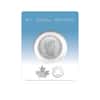 2022 Canada 1 oz Silver The Majestic Polar Bear Coin .9999 Fine (In Assay)
