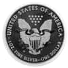 2013-W 1 oz Enhanced Silver American Eagle $1 Coin (in Cap)