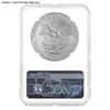 2006-W 1 oz Burnished Silver American Eagle $1 Coin NGC MS 69