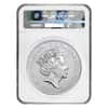 2017 Great Britain 10 oz Silver Queen's Beast (Lion) Coin NGC MS 70 FDOI