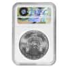 2017 (S) 1 oz Silver American Eagle $1 Coin NGC MS 69 Obv Struck Thru Mint Error (Trolley Label)