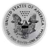 2013-W 1 oz Reverse Proof Silver American Eagle $1 Coin (in Cap)