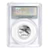 2007 1/2 oz $50 Platinum American Eagle PCGS MS 69 First Strike