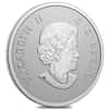 2022 Canada 1/2 oz Silver Welcome to the World Baby Gift Coin .9999 Fine (w/Box & COA)